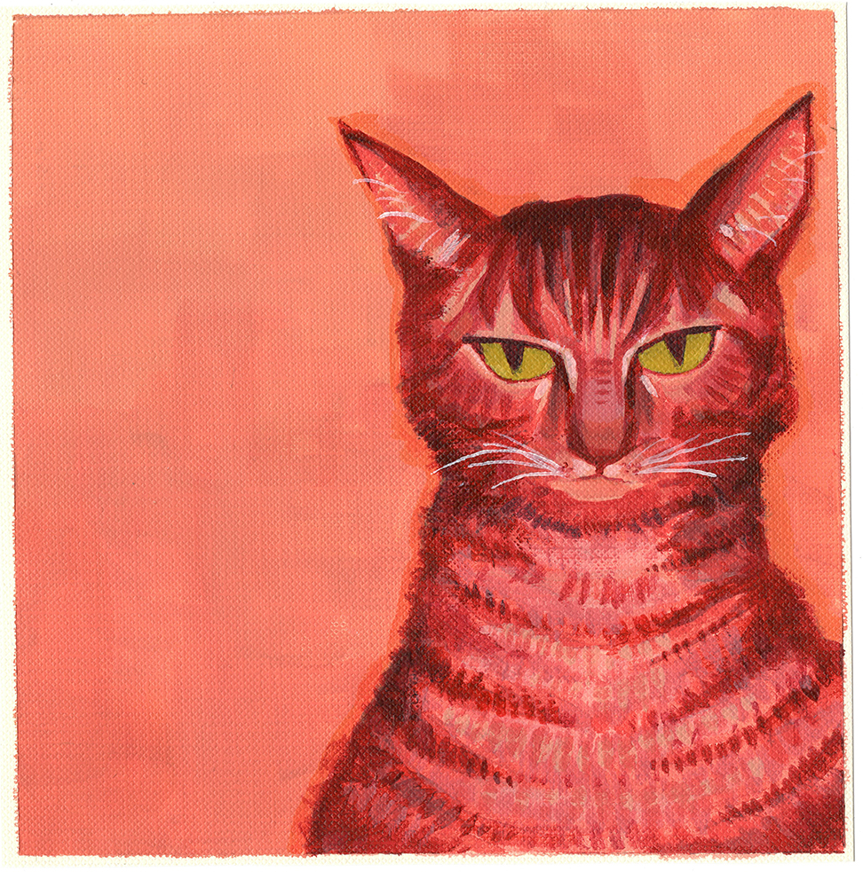 Abby's Cat
